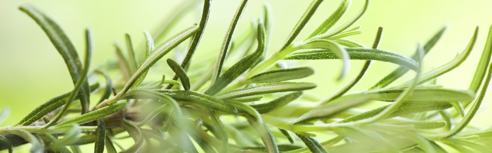 20 separate lessons that are scientifically based & clinically focused…